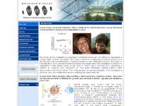 mbcunito.it mbcunito.it