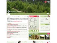 Mountain Biking - Mountain Bike Holidays, Advice & News at MBWales.com - MBWales