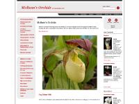 Cymbidium Orchids, Paphiopedilum Orchids, Phragmipedium Orchids, Other Orchids Cymbidium Orchids, Paphiopedilum Orchids, Phragmipedium Orchids, Other Orchids