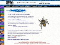 Media Masters Web Development & Design Services