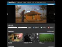 mediastorm mediastorm