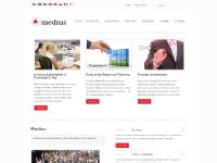 liten mediusflow.se skärmbild liten mediusflow.se skärmbild