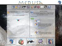  medusa_accueil, tutoriels, ooak, bijoux