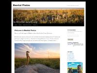 Meerkat Photos | Images of Meerkats in the wild Meerkat Photos | Images of Meerkats in the wild