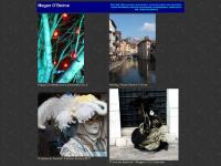  Art book reviews, Current art work, Pictures from the Portfolio, Art photography
