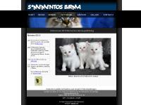 liten mementoscats.se skärmbild liten mementoscats.se skärmbild