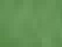 liten merlinsmarsvin.se skärmbild liten merlinsmarsvin.se skärmbild