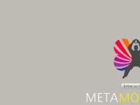 metamorphose-association.fr Metamorphose, metamorphose association, développement personnel