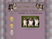 Välkommen Till Colliekompisarna!