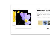 liten midjich.se skärmbild