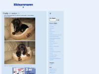 Midsommaren - Midsommaren -