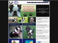 Midwest Boston Terrier Rescue Midwest Boston Terrier Rescue