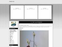 miinfashion - miinfashion -