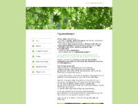 mindbodyandsoul.se Hypnos, Suggestionsterapi, Analys