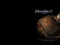 liten mindsplit.se skärmbild liten mindsplit.se skärmbild