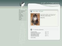 S*Minnebergs - uppfödning av Sibirisk Katt S*Minnebergs - uppfödning av Sibirisk Katt