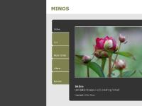 Minos Minos