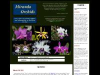 Brazilian Orchids. Orchids of Brazil Brazilian Orchids. Orchids of Brazil