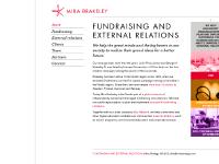 liten mirastrategy.se skärmbild liten mirastrategy.se skärmbild