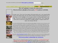 Misericords of the world