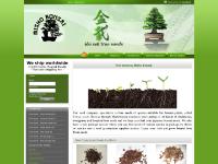 Bonsai Tree seeds by Misho bonsai Bonsai Tree seeds by Misho bonsai
