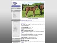 mistytrotting.com Startsida Stall Misty Trotting mistytrotting.com Startsida Stall Misty Trotting