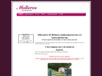 Molieres Kaniner - Startsida