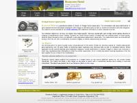 Massey Ferguson Tractor Parts | Vintage Tractor Spares Massey Ferguson Tractor Parts | Vintage Tractor Spares