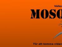 liten mosquitos.se skärmbild
