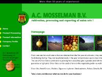  Shallots, Oignones à planter, Steckzwiebeln, Bulbos Cebolla