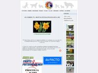 Märsta-Sigtuna Brukshundklubb Märsta-Sigtuna Brukshundklubb