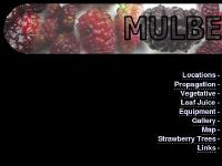 Mulberry Trees - find your local mulberry trees