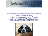 Lynda Troutt Murphy Artist In Residency 2007