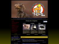 MidWest Dachshund Rescue, Inc. - Available Dachshunds MidWest Dachshund Rescue, Inc. - Available Dachshunds