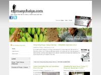 mymuaychaiya.com - mymuaychaiya mymuaychaiya.com - mymuaychaiya