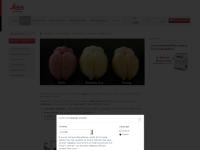  Digital Pathology, Light Microscopes, Confocal Microscopes, Surgical Microscopes