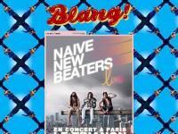 Naive New Beaters - NNBEER