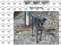 liten nalan.se skärmbild