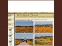 namaquatours.com namaqualand, namaqualand tours, namaqualand bus tours namaquatours.com namaqualand, namaqualand tours, namaqualand bus tours