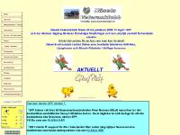 Nasetveteraner´s hemsida original* Nasetveteraner´s hemsida original*