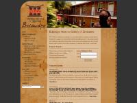 nationalgallerybyo.com Zimbabwean artists, Zimbabwean arts, African Artists