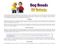 Dog Breeds Of Britain