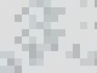 natural-images.org Art, dealer, original