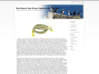 Best Natural Gas Stoves Reviews 2012