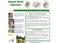 naturalworldexperience.co.uk Bug Hunts, Pond Dipping, Bats