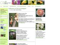 Läs om rossticklingar, Läs mer om att så mistel, Läs om fågelmatning, 4/12  Läs om rossticklingar, Läs mer om att så mistel, Läs om fågelmatning, 4/12