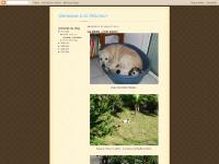 Nenesse à la Réunion Nenesse à la Réunion