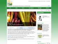 Northeast Sustainable Agriculture Research and Education, Northeast SARE, grants, farmers, researchers, farm service staff, researchers, graduate students, innovation, exploration Northeast Sustainable Agriculture Research and Education, Northeast SARE, grants, farmers, researchers, farm service staff, researchers, graduate students, innovation, exploration