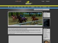 Horse racing stable management game, skill gaming - Newturf
