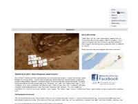 nexusdetectors.com Nexus, metal, detector nexusdetectors.com Nexus, metal, detector